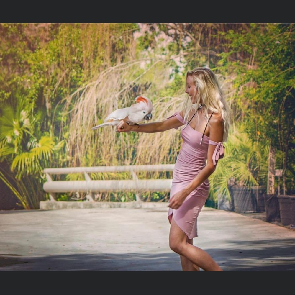 NWOT Beautiful Off the Shoulder Dress